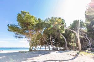 Hotel Marzal Alcudia (Mallorca)