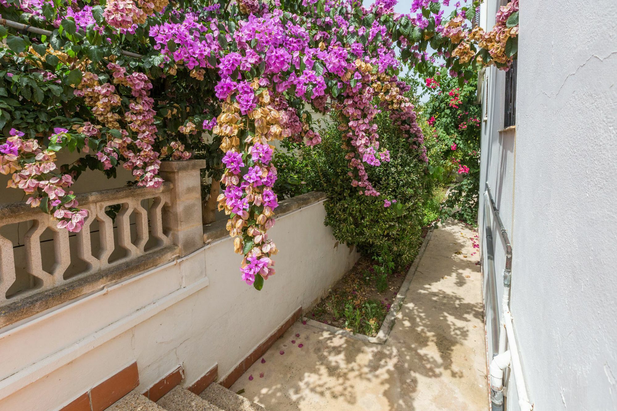 Marzal 5* Alcudia (Mallorca)